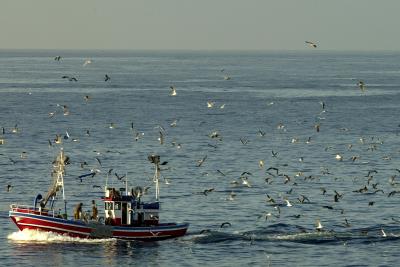 FACEBOOKTWITTERGOOGLE+COMPARTIR España partidaria de suavizar las obligaciones de descargas de pesca en puertos