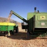 Una cosechadora en un campo de cebada. Efeagro/Nazario