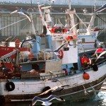 Puerto de Vigo. EFE/Voo