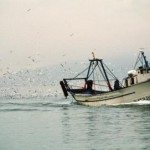 Pesquero del Mediterráneo. ARCHIVO EFE