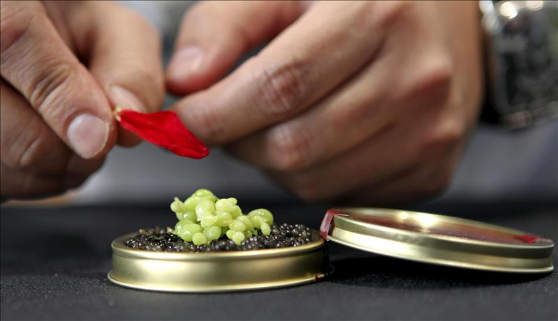 Un chef elabora una creación con caviar en una edición de San Sebastián Gastronómika. EFE/ Archivo. Javier Etxezarreta.