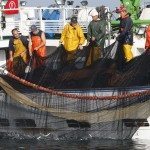 Marineros gallegos pescando sardina. Efeagro/Lavandeira jr