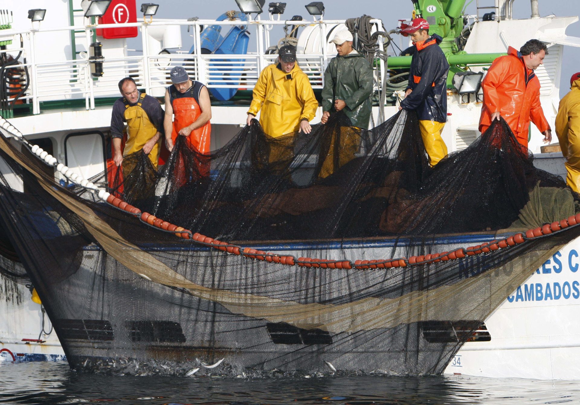 Marineros gallegos pescando sardina. Efeagro/Lavandeira jr