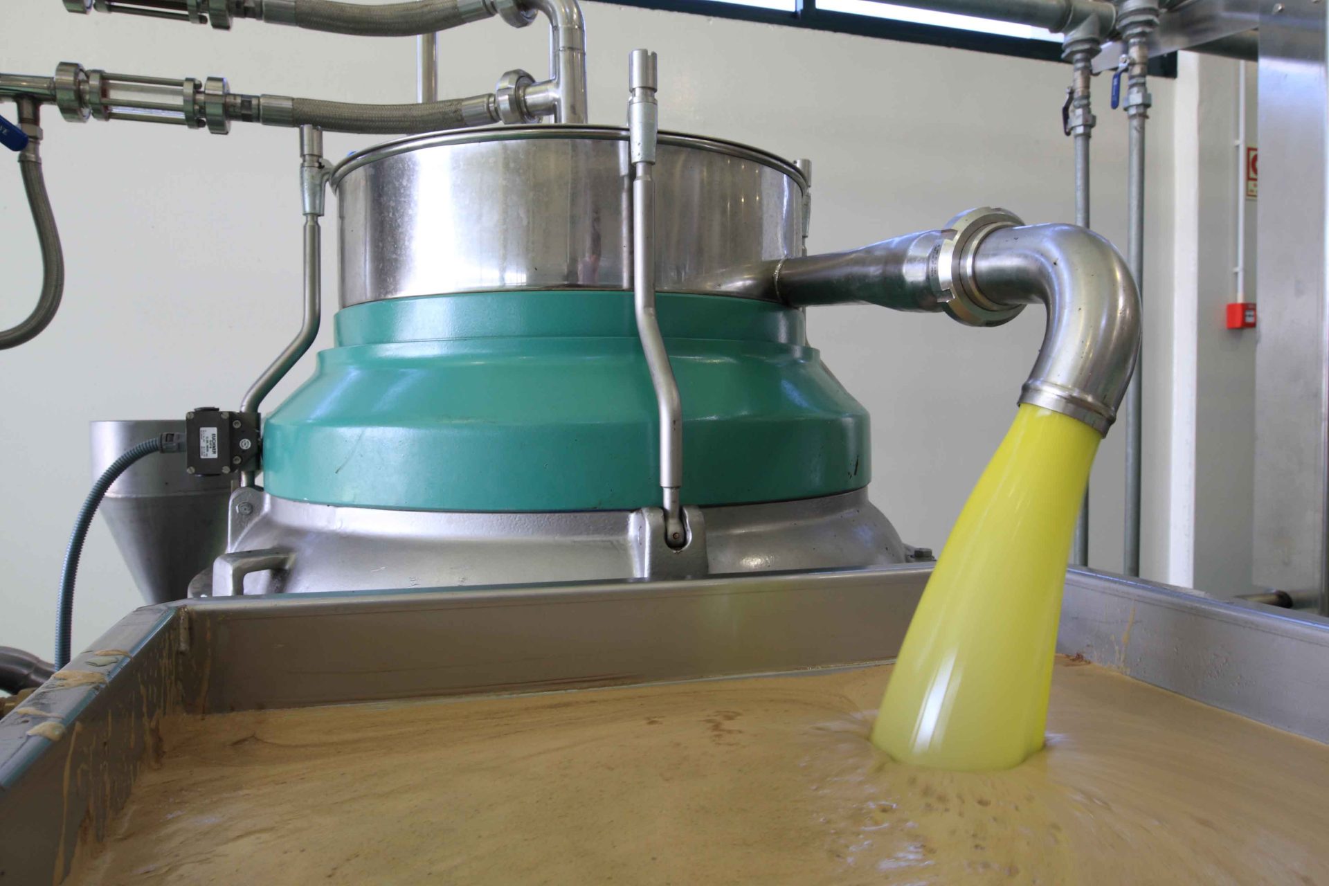 Una almazara de aceite de oliva. Efeagro/Innoliva 