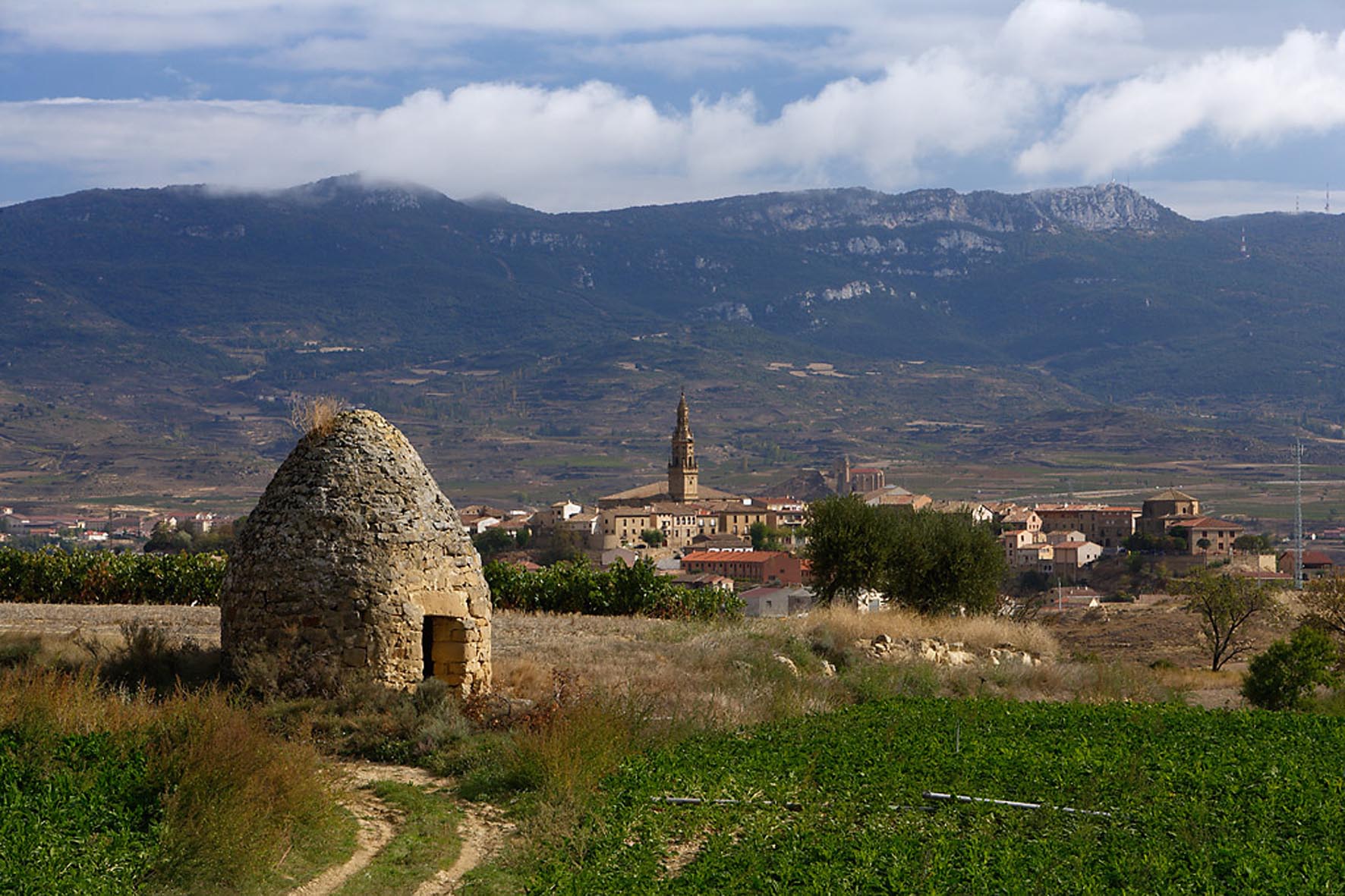 Ruta del Vino de La Rioja. Foto: Acevin