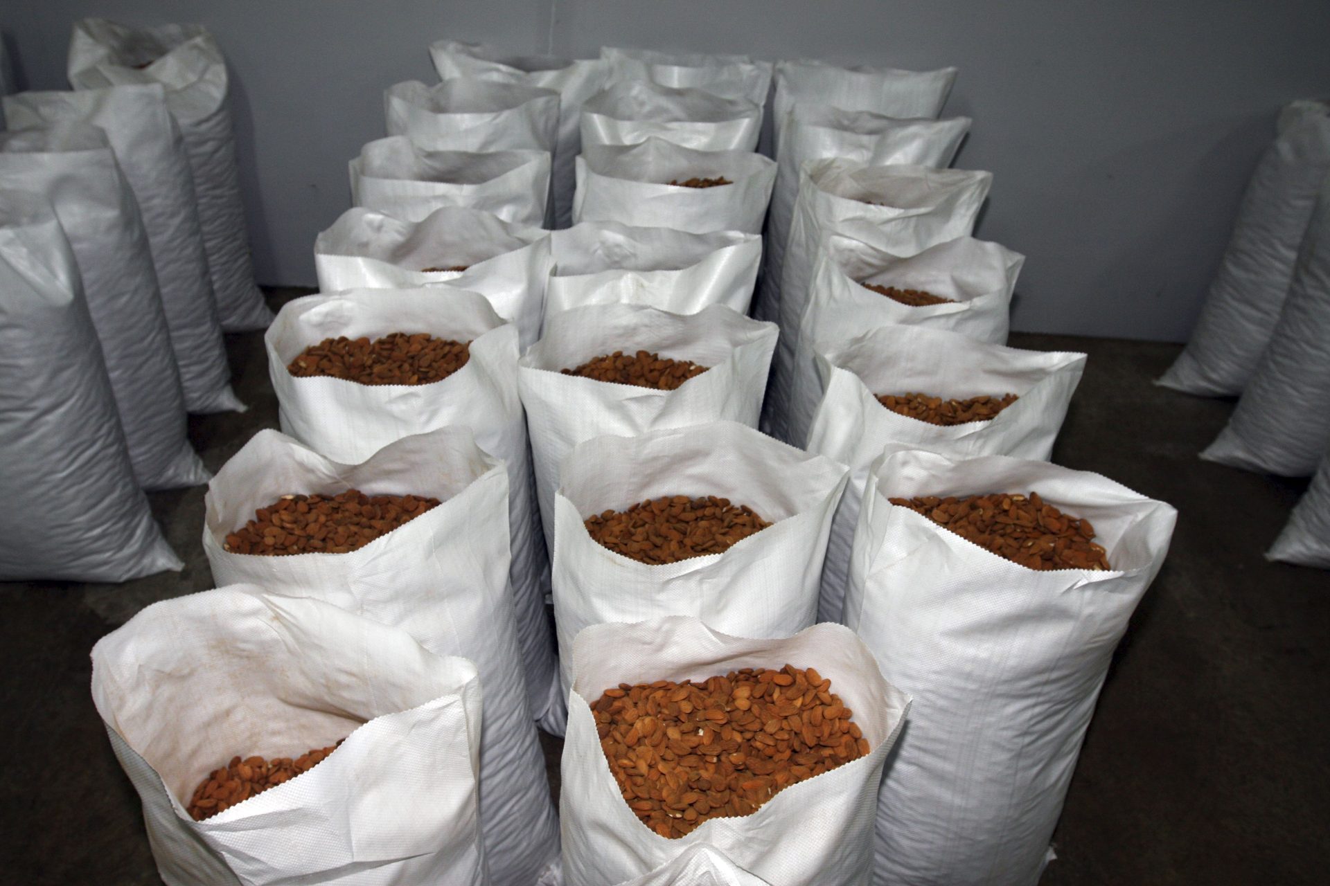 Sacos de almendra producida en Salamanca. EFE/Carlos García