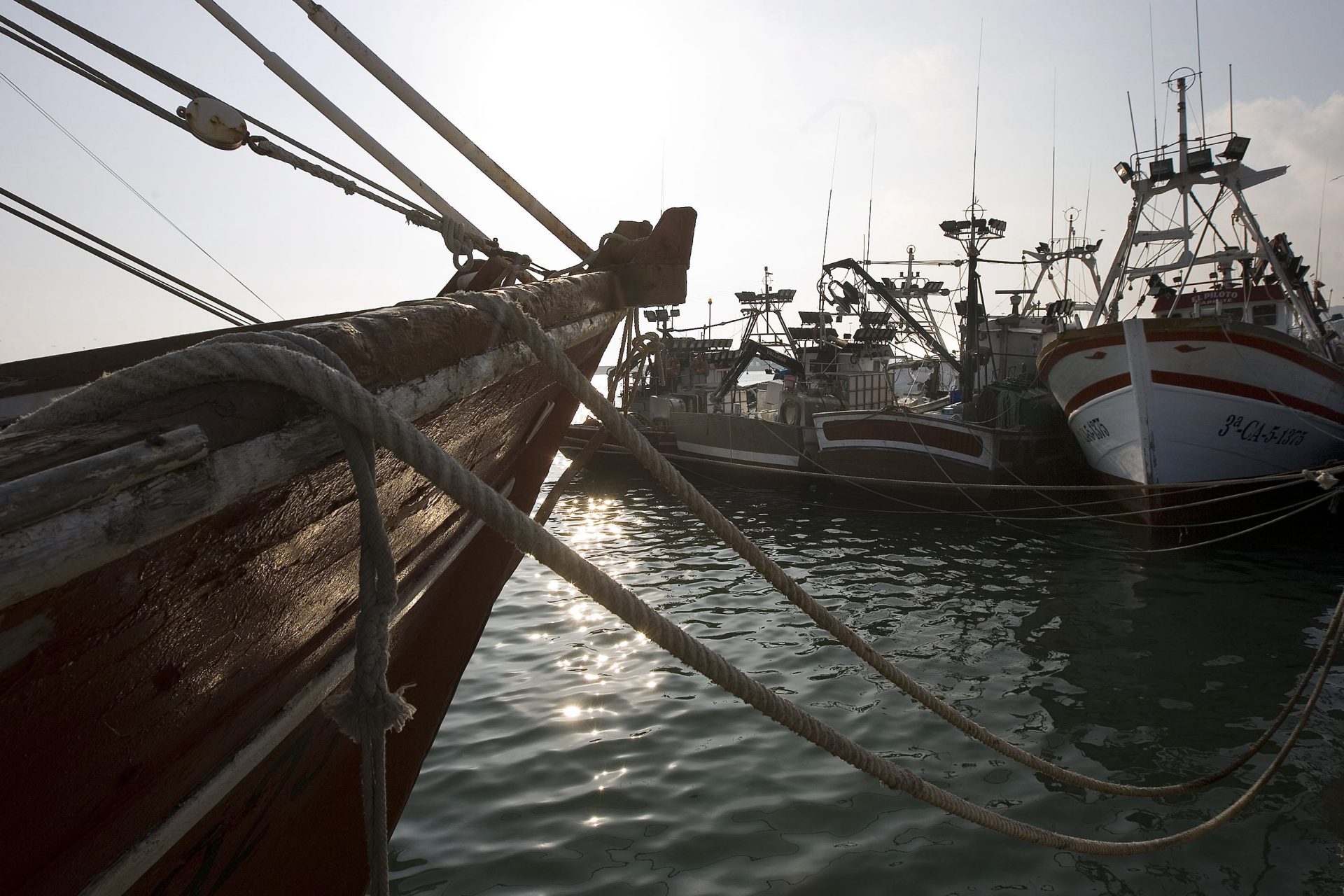 La cuota de besugo se reduce a la mitad en el Golfo de Cádiz. Barcos atracados en Barbate (Cádiz). EFE/Jorge Zapata.