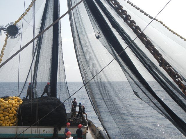 El Senado pide aumentar las importaciones de atún.Foto de un barco atunero, cedida por Cepesca