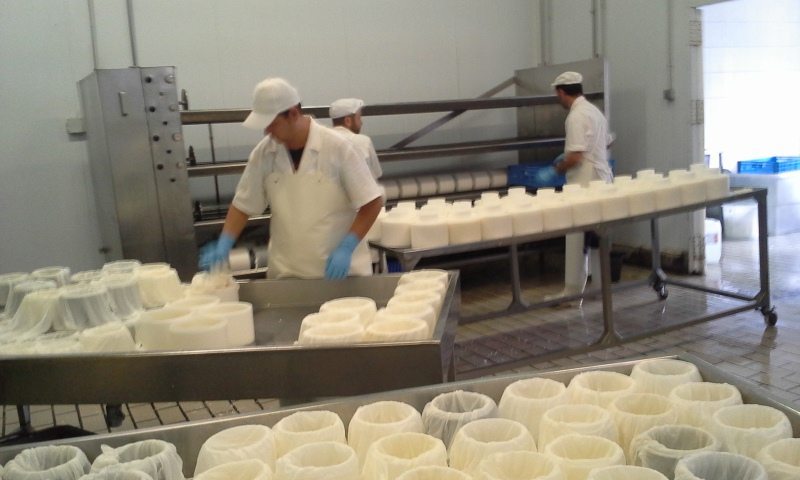 Varios operarios en la fábrica de quesos El Boqueño. Foto: Lrs