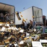 Agricultores franceses destruyen la carga de un camión español que transportaba fruta y verduras, en agosto de 2011 en Senas. Foto: EFE /Guillaume Horcajuelo