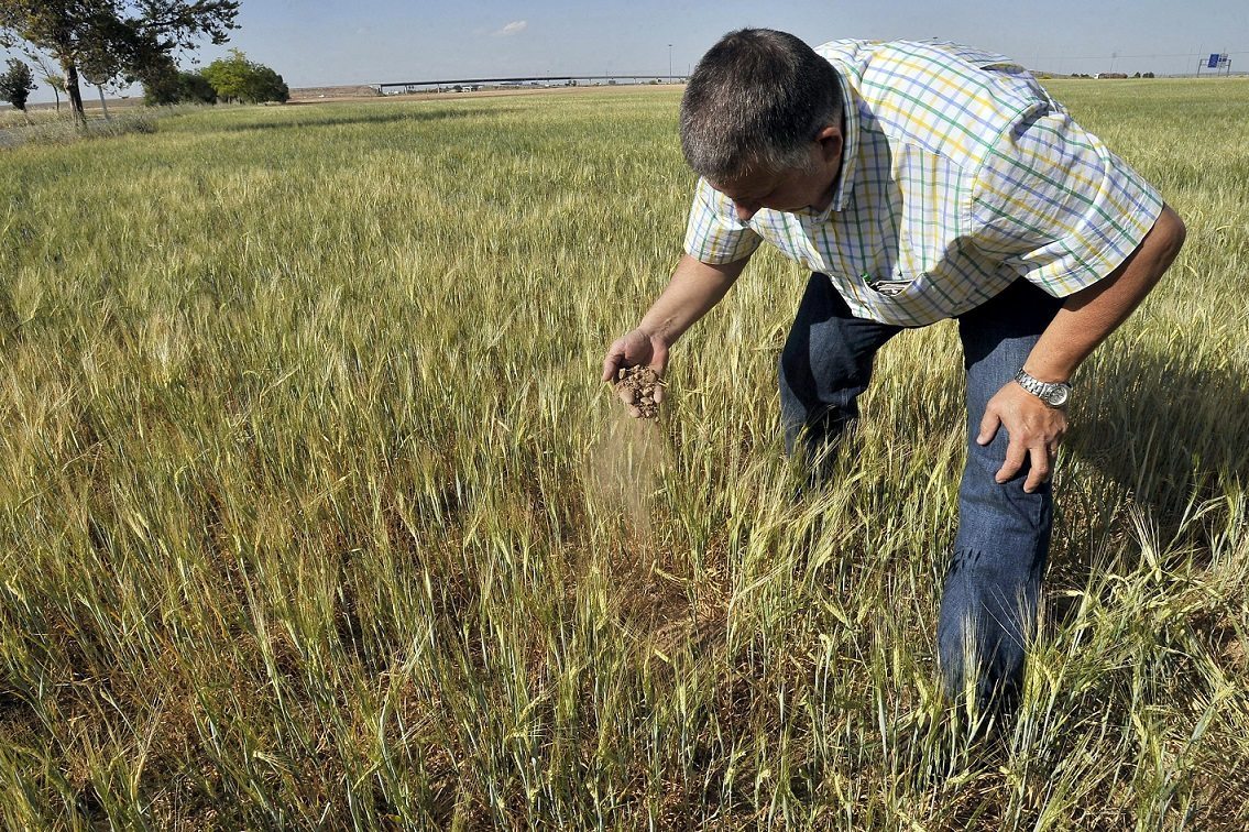 Un agricultor contempla los efectos de la sequía en una finca de Albacete. Foto: EFE/Manu