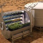 La primera lechuga espacial. Imagen: cedida por la NASA.