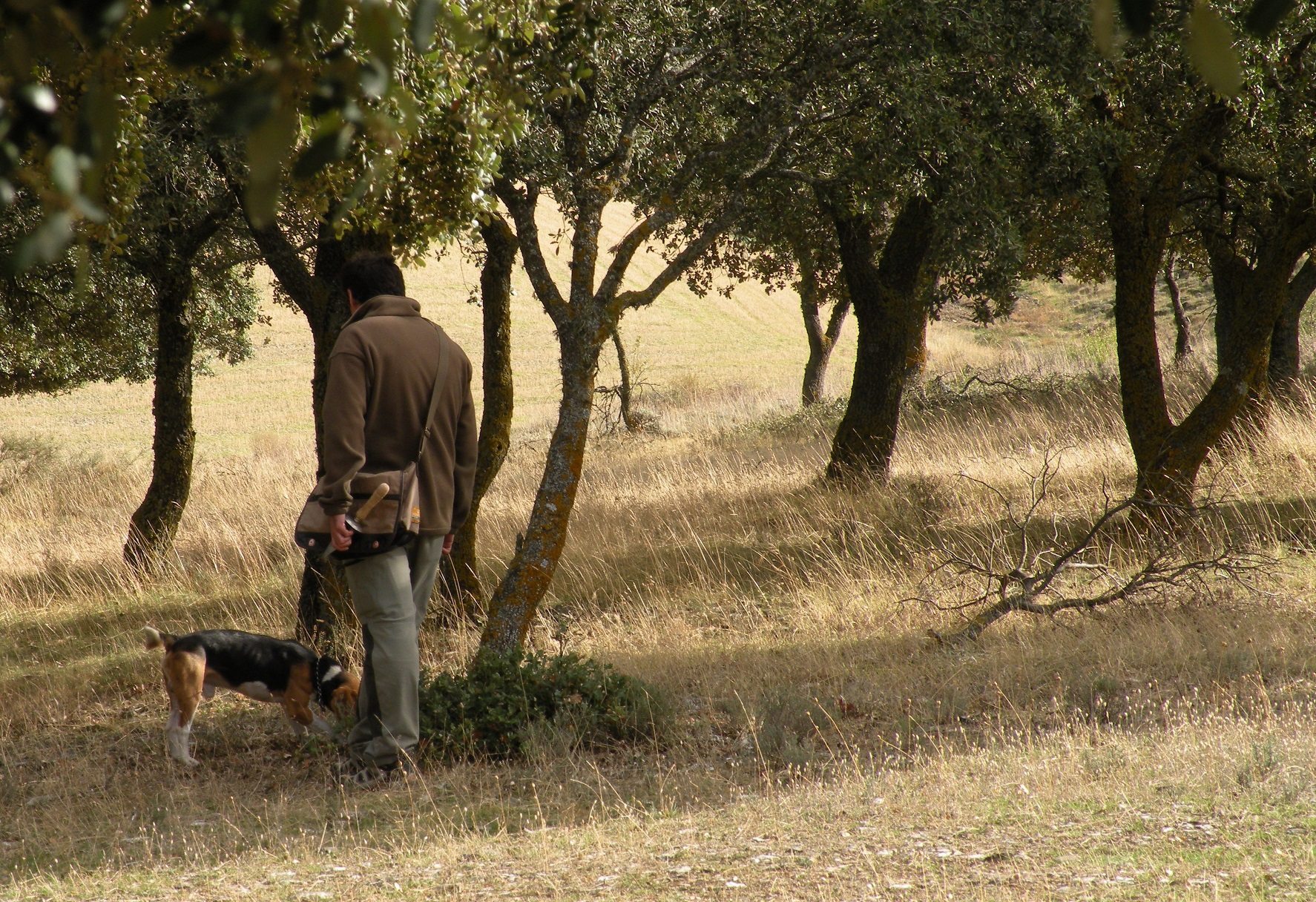 Un buscador de trufas junto a su perro. Foto: Cedida por PEFC España.