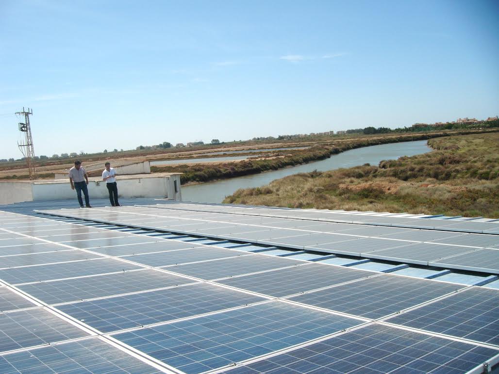 Placas solares en el proyecto para reducir el gasto energético en acuicultura marina. Foto: CTAQUA
