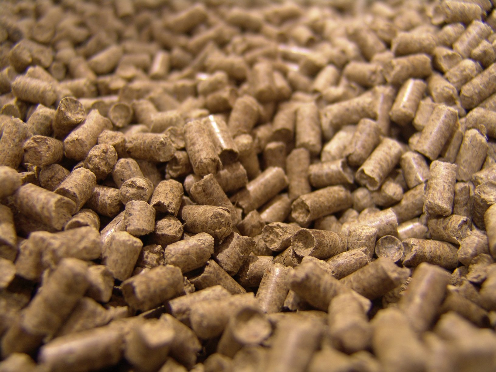 Más de 1,2 millones para fomentar la biomasa en la industria agroalimentaria