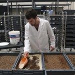 Un ganadero español dedicado a la cría de insectos. Efeagro/ Carlos Barba