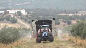 Aplicación de fitosanitarios en una finca agrícola. Foto: EFEAGRO ARCHIVO