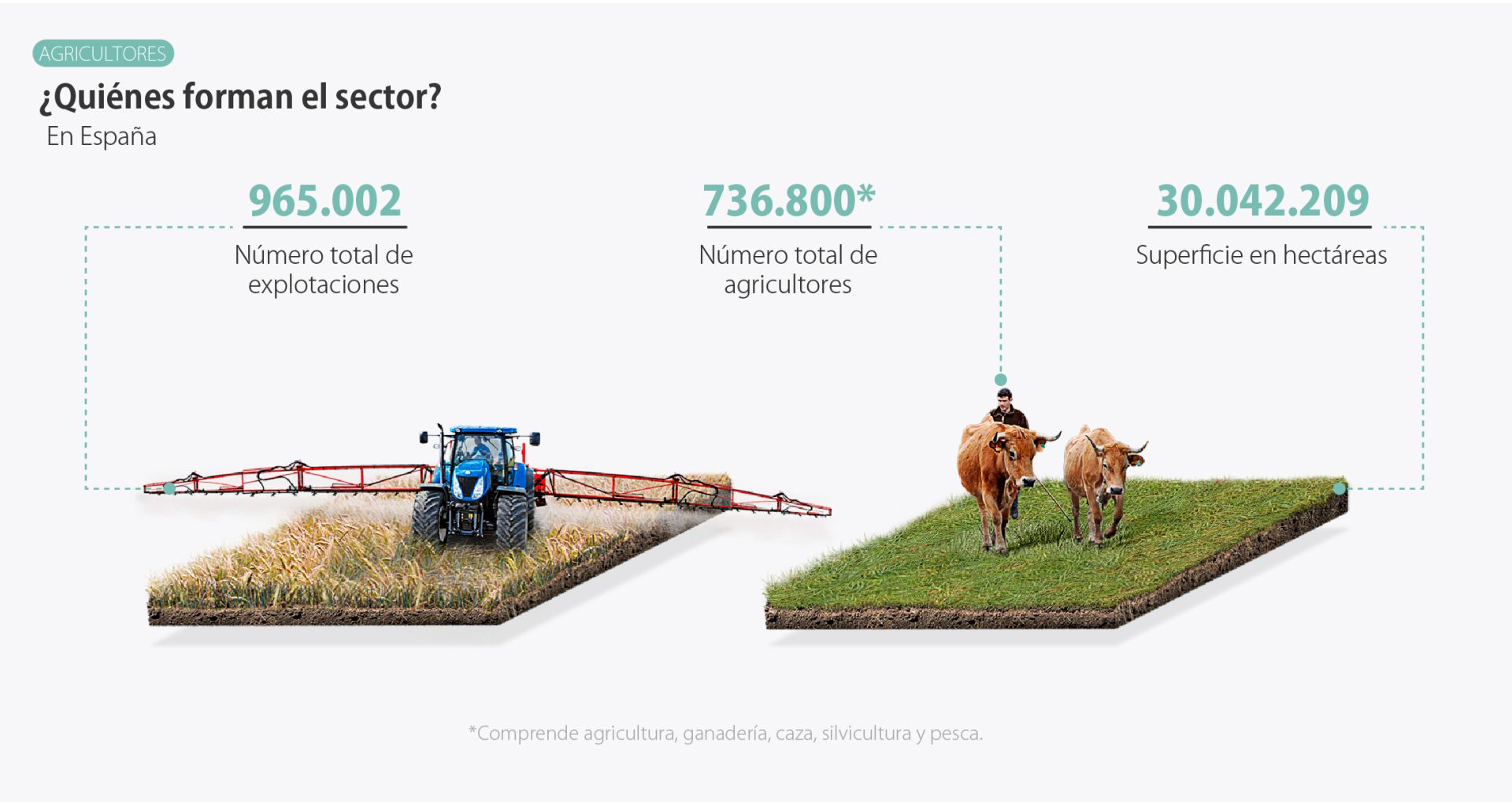 Infografía sobre los perceptores de la PAC. Autor: EFEAGRO / Miguel Mulas.