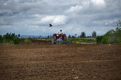 Imagen de un tractor en un campo de Burguillos de Toledo (Toledo). EFE/Ismael Herrero