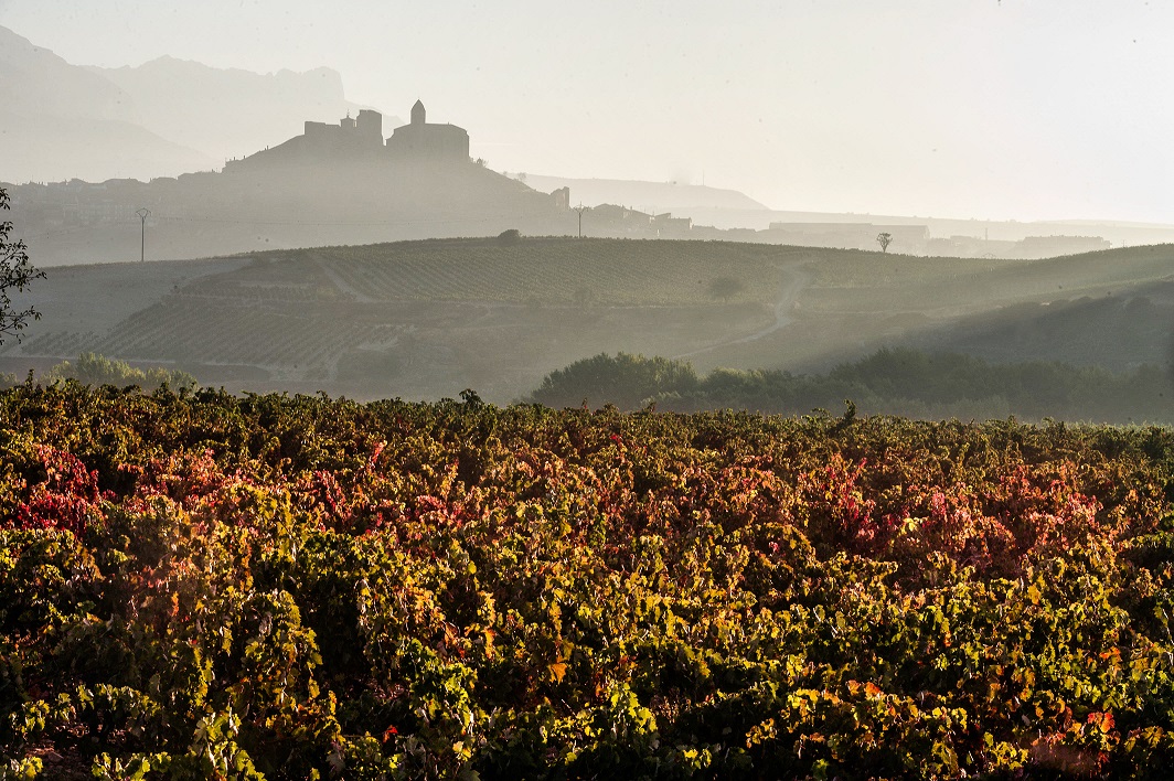 Tempos Vega Sicilia confía en las posibilidades de sus vinos de Rioja Alavesa. Foto: Efeagro/Cedida por la compañía