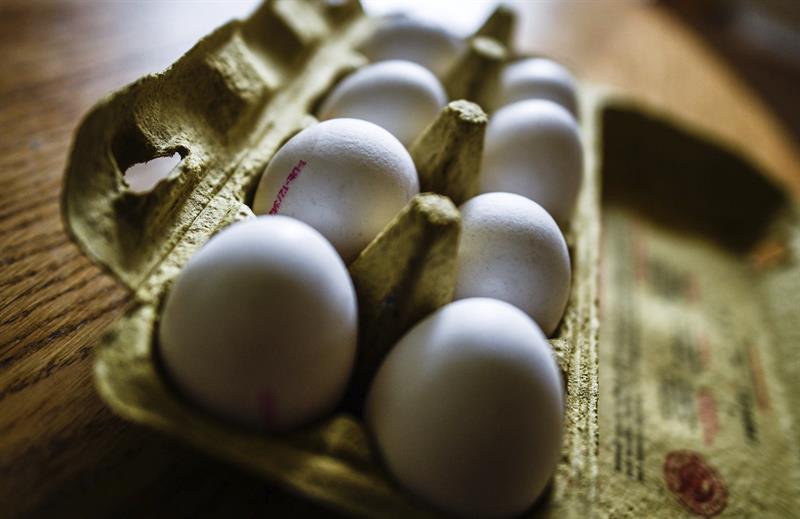 Imagen de archivo de un estuche con huevos. EFE/FilipSinger