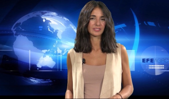 Informativo Efefood TV: Guión e imagen: Lucía Ruiz Simón. Edición: Laura Cristóbal.
