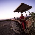 Un agricultor trabajando en el campo con su tractor. Efeagro/Rafa Alcaide