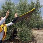 Un experto lanza un dron, el 20 de abril de 2017, para recoger imágenes que posteriormente se analizarán en el ordenador, durante un curso sobre agricultura de precisión en el Parque Tecnológico de Geolit en Mengíbar (Jaén). (Foto: EFE/José Manuel Pedrosa)