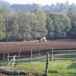 Un agricultor ara la tierra en una explotación. Foto: Efeagro/Ginés Mena