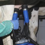 Un ganadero ordeña una vaca en una explotación gallega. Foto: Efeagro/GMena