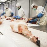 Una industria cárnica. Efeagro