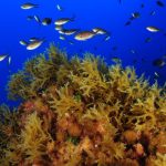 Bruselas presenta un plan para salvar el Mediterráneo. En la imagen, montañas
