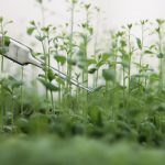 Imagen de un laboratorio de una empresa biotecnológica. Efeagro/ Asebio