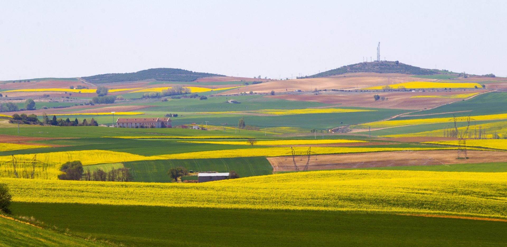 Varios campos de cultivo en la provincia de Zamora. Foto: EFE/Mariam A. Montesinos