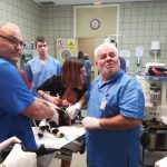 Un grupo de veterinarios y de estudiantes universitarios realizan una endoscopia a un perro aquejado de problemas en el aparato respiratorio en las instalaciones del Hospital Clínico Veterinario de la UCM. EFEAGRO/J.J.Ríos