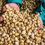 Planta de de procesado de pistacho que la empresa "Pistachos del sol" tiene en el Polígono "La Vega", de Torralba de Calatrava (Ciudad Real). EFE Archivo/ Mariano Cieza