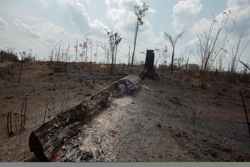 Área destruida por el fuego en la selva amazónica, en Brasil. Efeagro/Joédson Alves