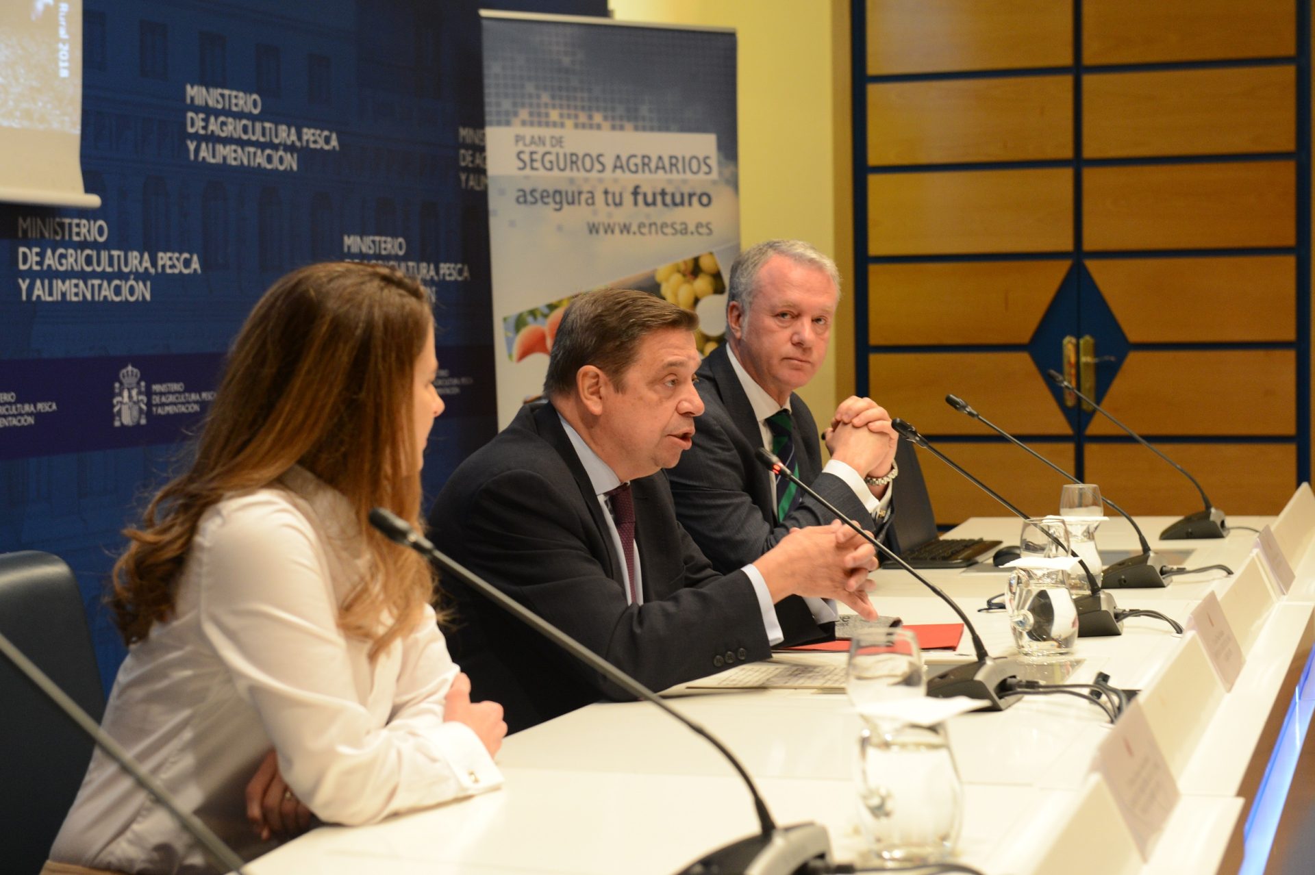 El ministro Luis Planas