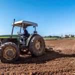Un hombre trabaja la tierra en Palma de Mallorca. Efeagro/ Cati Cladera