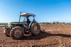 Un hombre trabaja la tierra en Palma de Mallorca. Efeagro/ Cati Cladera