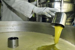 Extracción del aceite en una almazara de la localidad jienense de Escañuela. Efeagro/José Pedrosa