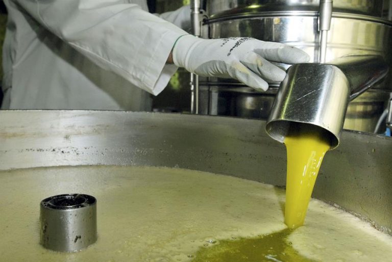 Extracción del aceite en una almazara de la localidad jienense de Escañuela. Efeagro/José Pedrosa