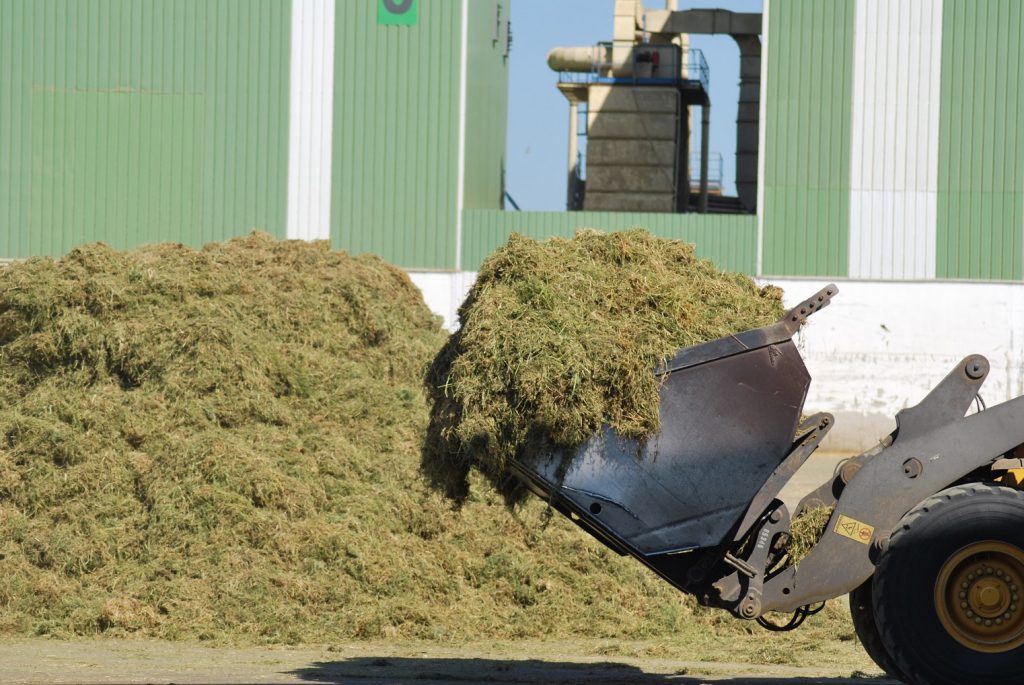 Producción de alfalfa. Efeagro/AEFA