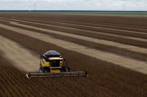 Una cosechadora de soja en el Estado de Bahia (Brasil). Efeagro/Sebastião Moreira