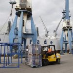 Tareas de estiba en el Muelle de la Naranja del Puerto de Castellón. Efeagro/Domenech Castelló