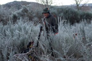 Un cazador y su perro entre vegetación cubierta en Ourense. Efeagro/Brais Lorenzo