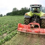 Un agricultor retira lechugas de una huerta en Alemania. Efeagro/Julian Stratenschulte