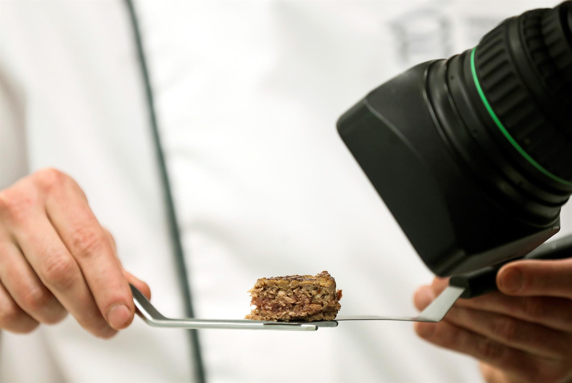 Detalle de una hamburguesa elaborada con soja, otras legumbres y un 30 % de carne animal. Efeagro/Javier Etxezarreta