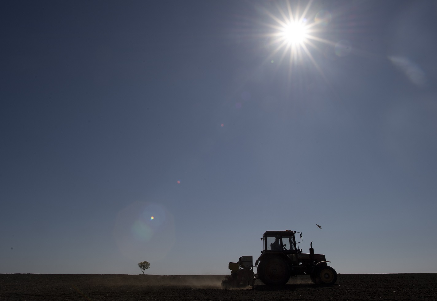 Un agricultor en un tractor en Bulgaria. Efeagro/EPA/Vassil Donev