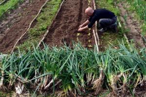 Un joven agricultor en España. Efeagro/Julián Martín